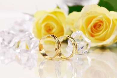 Yellow Rose Wallpapers For Desktop Backgrounds