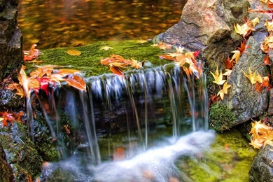Small Waterfall Wallpapers   Nature Wallpapers
