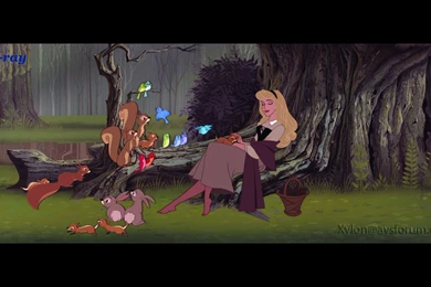 Background, Beauty, Adzez, Sleeping, Photobucket (