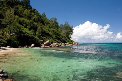 Magnificent Summer Scenery HD