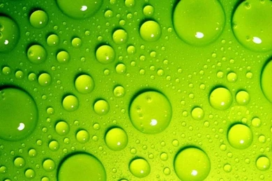 Download 7 Beautiful Google Nexus 7 Wallpapers.