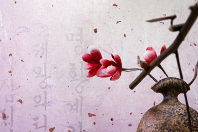 Official Site Of Korea Tourism Org.: Wallpaper_2010_NOV/DEC