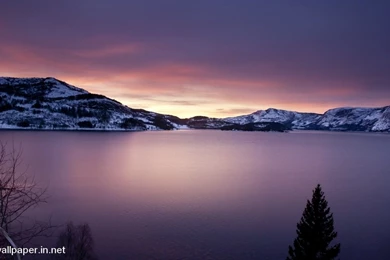 Very High Quality Wallpapers