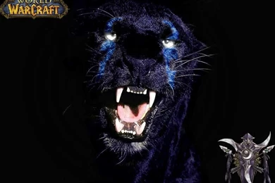 Druid Nightelf Wallpapers Photo By Gigitcute