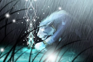 Feral Druid By Nookawolf On DeviantArt