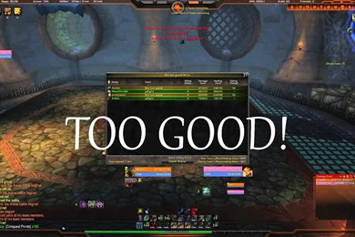 World Of Warcraft   Feral Druid   2s   With Ret Paladin   Patch ...