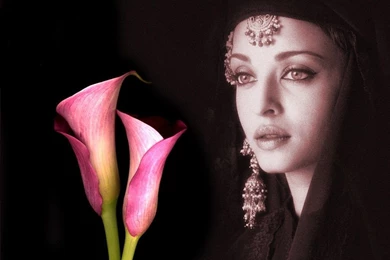 Desktop Wallpapers » Aishwarya Rai Backgrounds (Bollywood ...