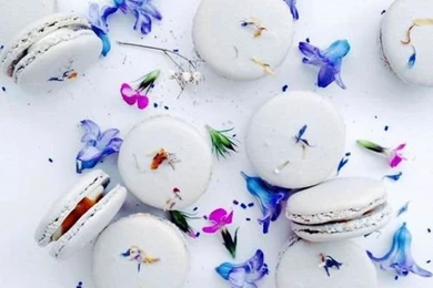 Photography Random Food White Cookies Flower Blue Flowers ...