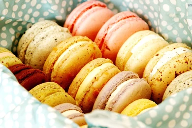 Macarons Wallpapers   Photography Wallpapers