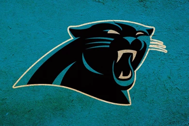 6 HD Carolina Panthers Wallpapers   HDWallSource.com