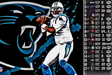 CAROLINA PANTHERS Nfl Football E Wallpapers