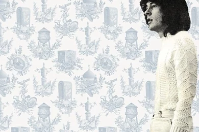 10 Of My Favorite Modern Toile Wallpapers PatternsSarah Sarna