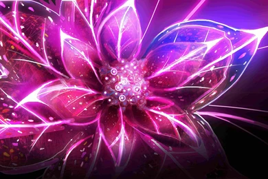 Abstract Flower Pictures All Wallpapers New