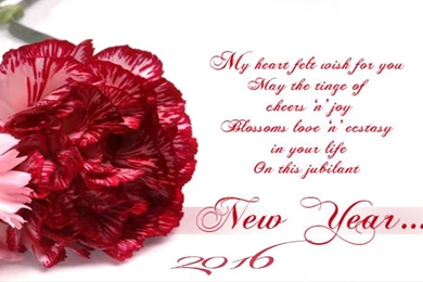 Happy New Year 2016 Wallpapers