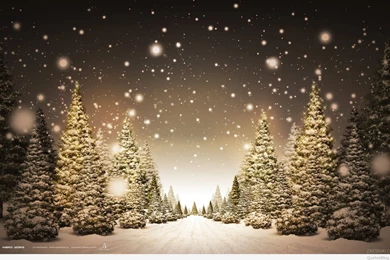 New year wallpapers 3.jpg