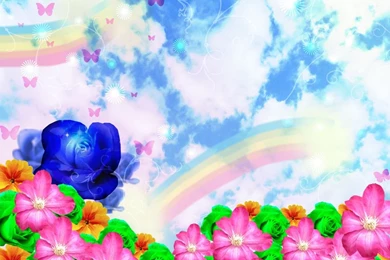 Flower Wallpapers By CoolArt999 On DeviantArt