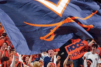 Wahooze: Best Of Wahooze