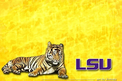 Yellow LSU Tigers Fade Wallpapers Hd