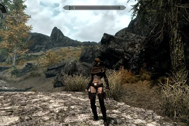A Colt 1911 And Gun Belt At Skyrim Nexus Mods And Community