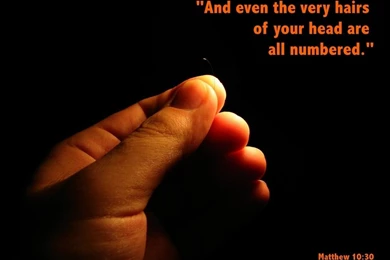 Quotes: Inspirational Bible Quotes HD Wallpapers 31 , Inspirational ...