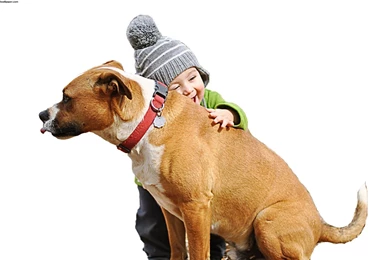 Best Friends Forever Wallpapers