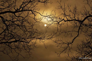 Scary Happy Halloween Wallpapers   Wallpapers Cave