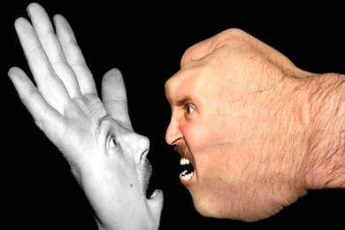 Funny Miscellaneous Wallpapers   Crazy Frankenstein