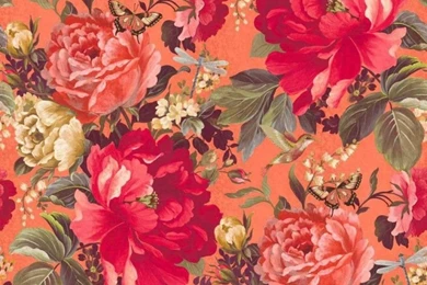 Dianthus Tiger Lilly 1452686842b330358debc92f16ffa4e4.jpg