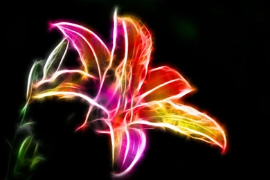 Fractal Tiger Lily By Minimoo64 On DeviantArt