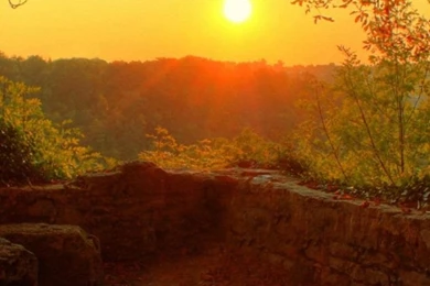 HD Cool Tree Sunset iPhone 6 Backgrounds Downloads Free 750x1334 ...