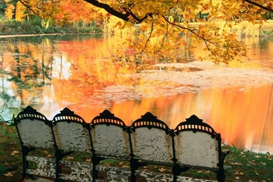 Trololo Blogg: Wallpapers Louisville Kentucky