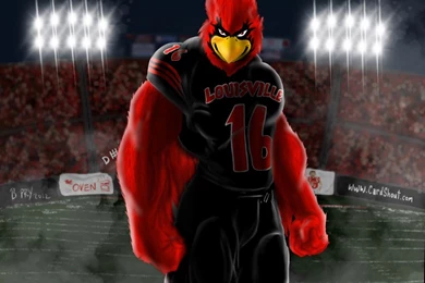 Shannon Ruffra's Blog   Cardinal Dominance