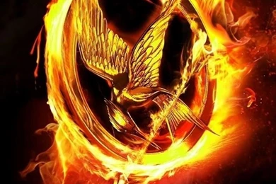 iPhone 5 Wallpapers HD   Retina Ready, Stunning Wallpapers