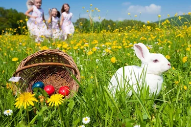 1600x1200 Eggs, Rabbit And Kids Desktop PC And Mac Wallpapers