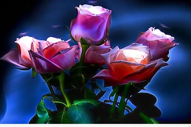 Birthday invitations card birthday wishes funny wallpapers hd thank you for cool design desktop wallpaper awesome funny bday wishes.jpg