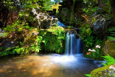 Animated Wallpapers For Android 64419 HD Pictures