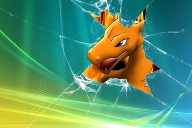 Pokemon Vista Broken Screen Charizard