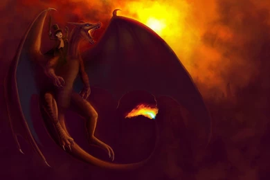 Charizard Pokemon Dragons Fantasy Art Guns Wallpapers ...