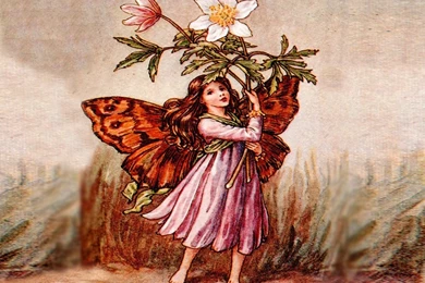 Flower Fairies Wallpapers   Crazy Frankenstein