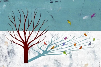 2 Broken Social Scene HD Wallpapers