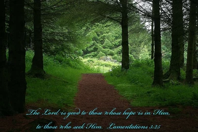 Lamentations 3:25   God Is Good Wallpapers   Christian Wallpapers ...