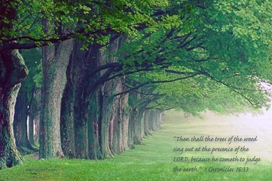 1 Chronicles 16:33   Faith Trees Wallpapers   Christian Wallpapers ...