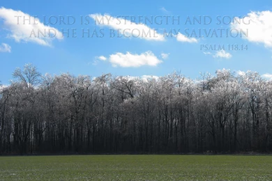 Free christian wallpaper ice trees.jpg