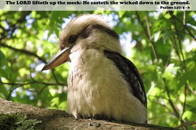 Free Christian Desktop Wallpapers — Free Christian Wallpapers And ...