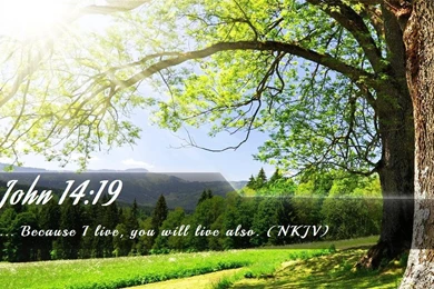 Christian Wallpapers   Free Christian Desktop Wallpapers 19