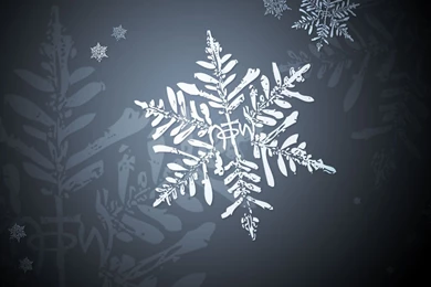 Notw Wallpapers   Wallpapers Cave