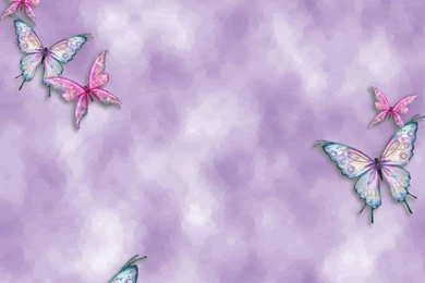 Purple Butterfly Backgrounds