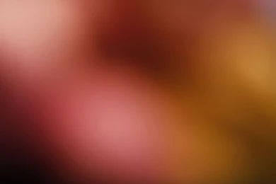 Websites With Background Images   Wallpapers HD Base