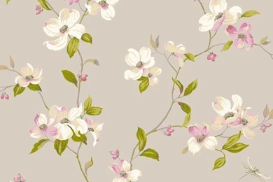 AK7430 Ashford House Blooms Dogwood Wallpapers By York