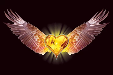 Free Desktop Wallpaper, Stratovarius Eagle Heart Wings Valentine ...